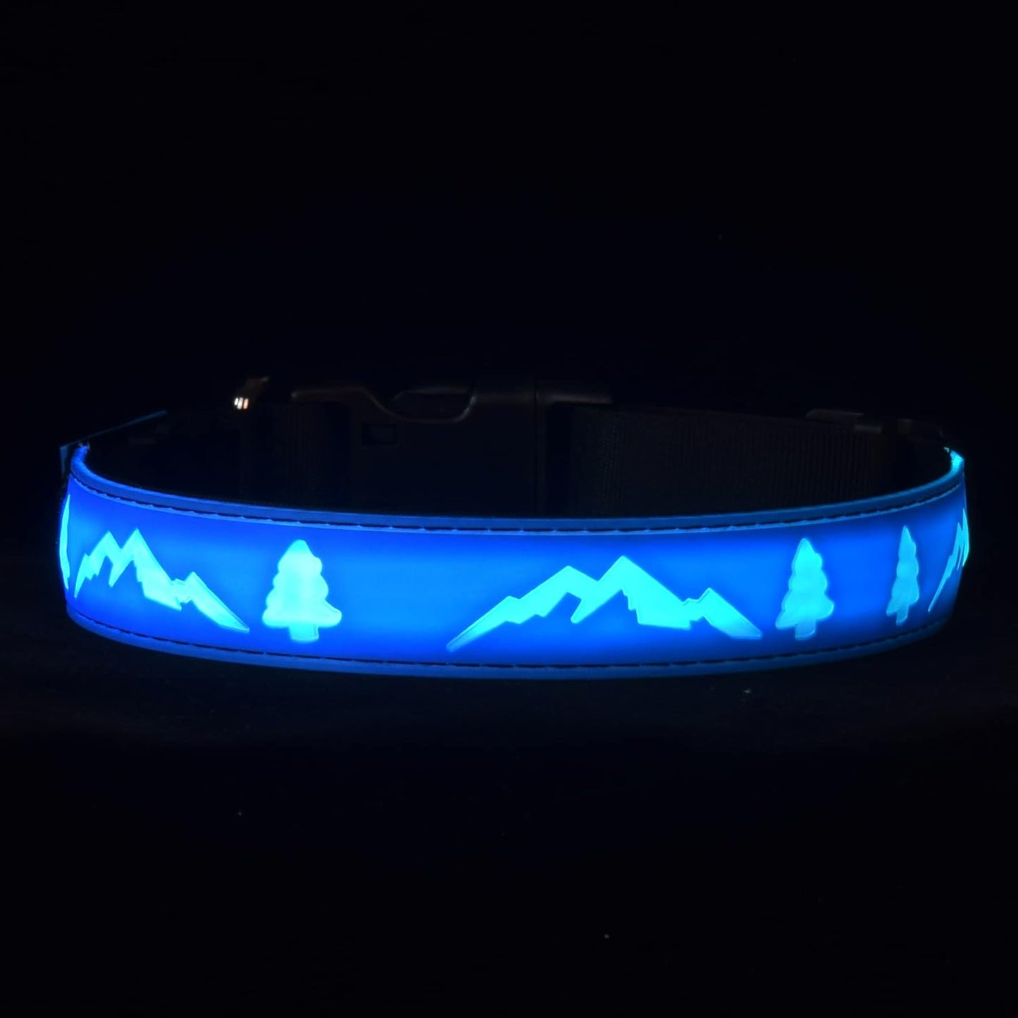 Blue LED Light-Up Dog Collar with USB-C, Adjustable and Rechargeable - Medium (15.7"-19.7")