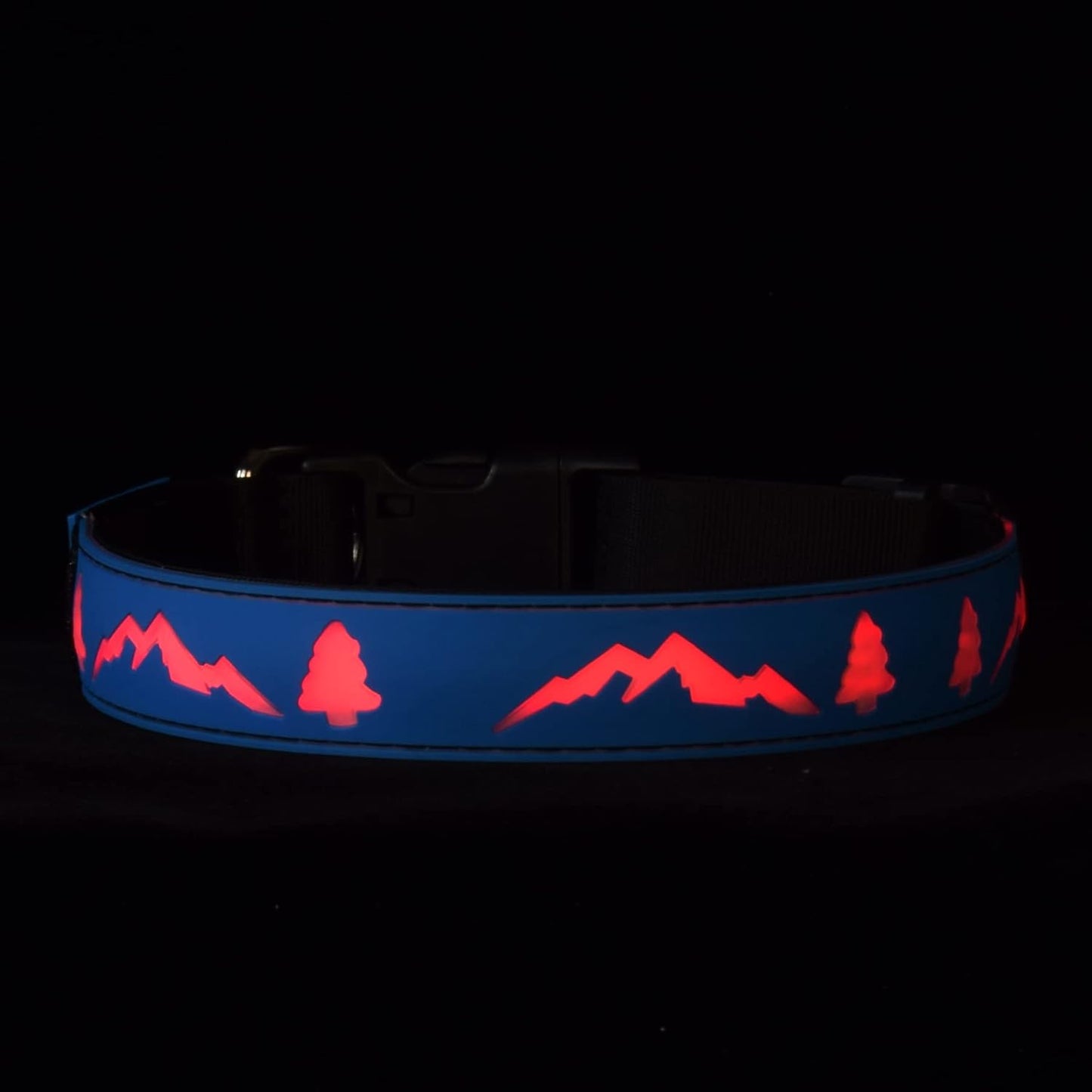 Blue LED Light-Up Dog Collar with USB-C, Adjustable and Rechargeable - Medium (15.7"-19.7")