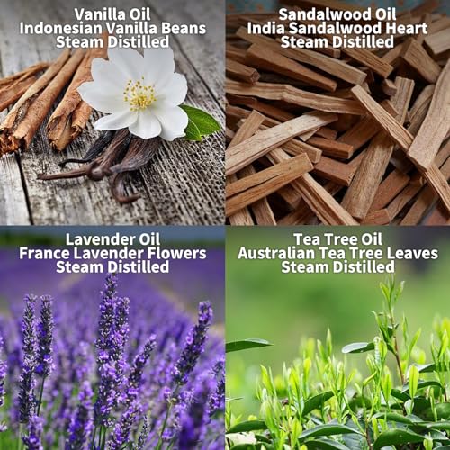 Essential Oils Set 10 Scents - Natural Aromatherapy Oils for Home & Crafting 160ml Total