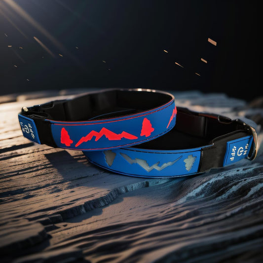 Blue LED Light-Up Dog Collar with USB-C, Adjustable and Rechargeable - Medium (15.7"-19.7")