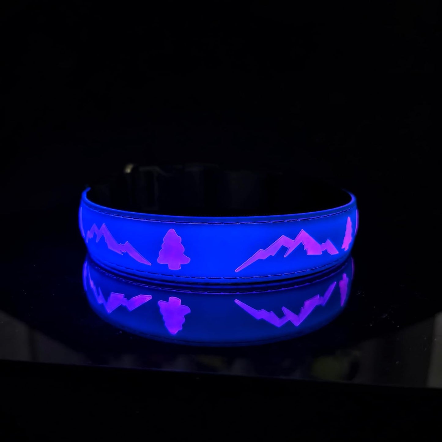 Blue LED Light-Up Dog Collar with USB-C, Adjustable and Rechargeable - Medium (15.7"-19.7")