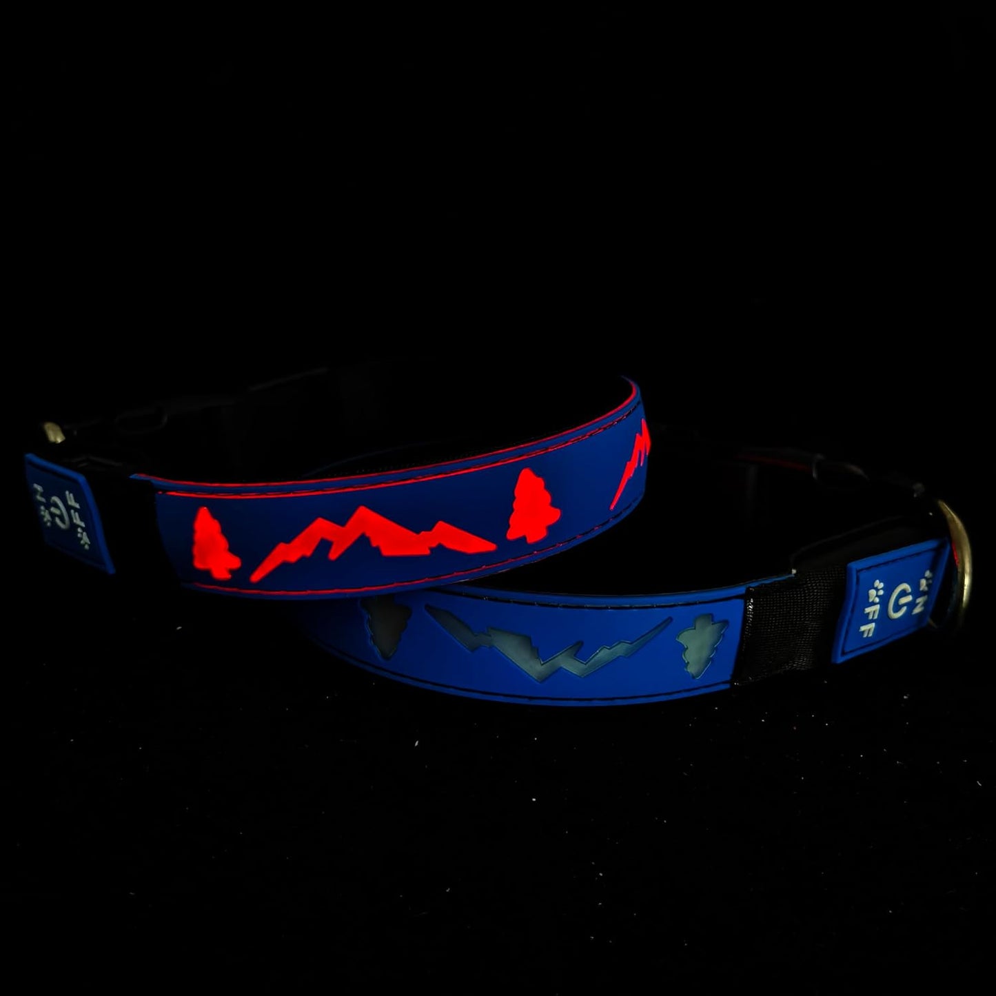 Blue LED Light-Up Dog Collar with USB-C, Adjustable and Rechargeable - Medium (15.7"-19.7")