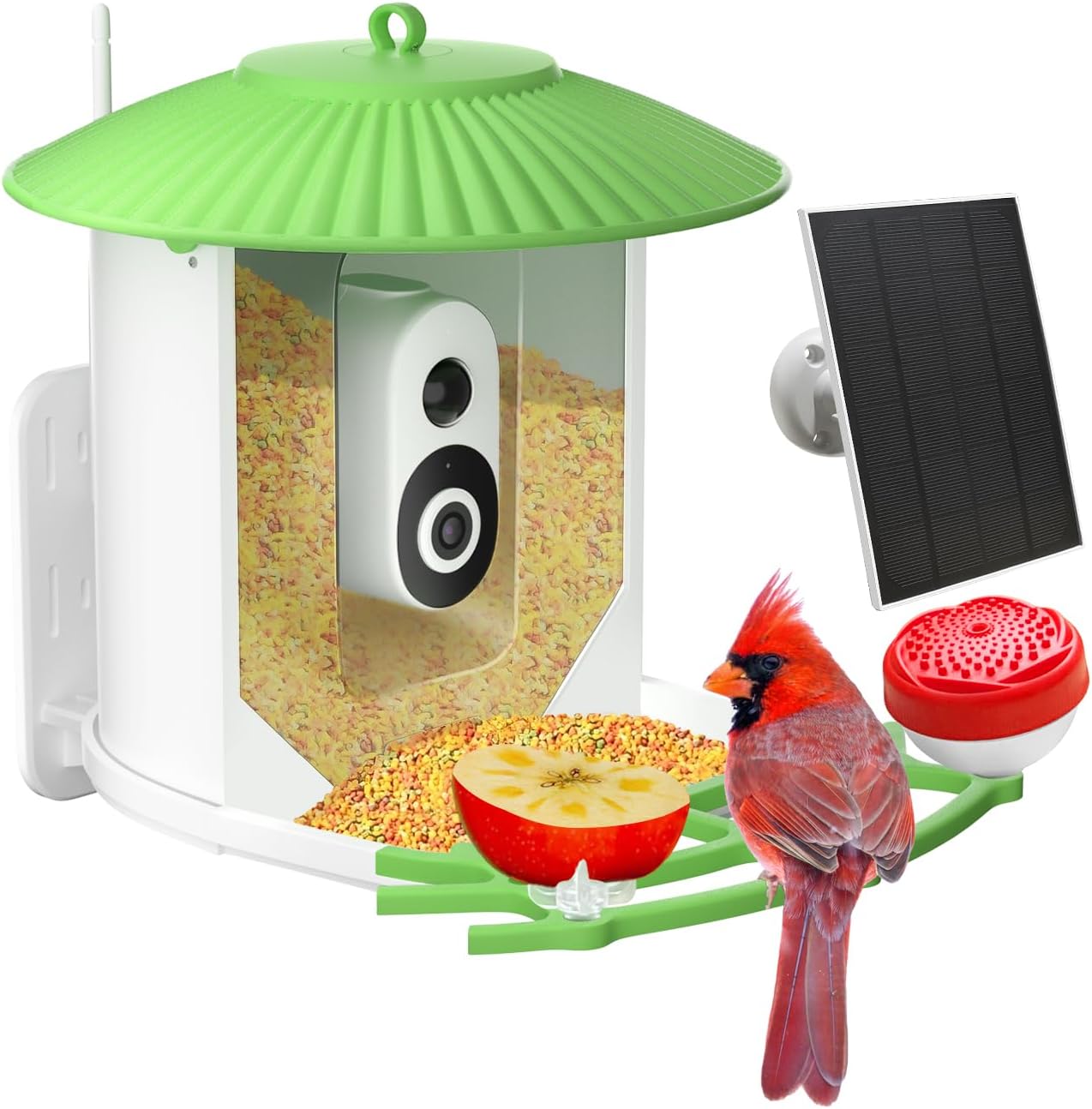Explore Nature with Smart Bird Feeder: Solar Powered, HD Camera, AI Video Capture for Bird Lovers