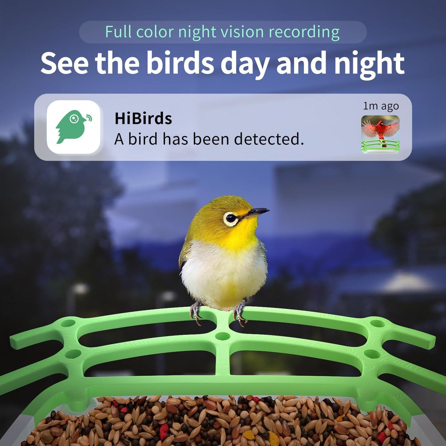 Explore Nature with Smart Bird Feeder: Solar Powered, HD Camera, AI Video Capture for Bird Lovers