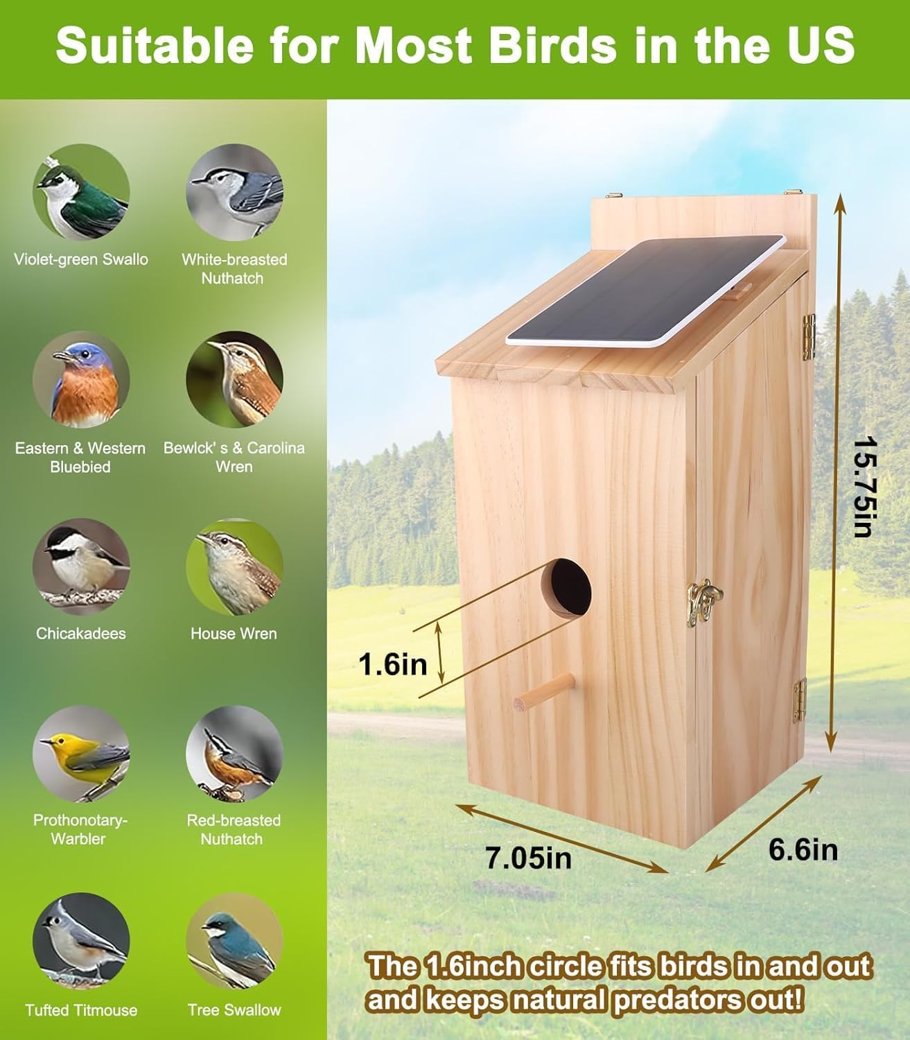 Smart Birdhouse Camera with 1080P Night Vision, Solar Powered & 160° View