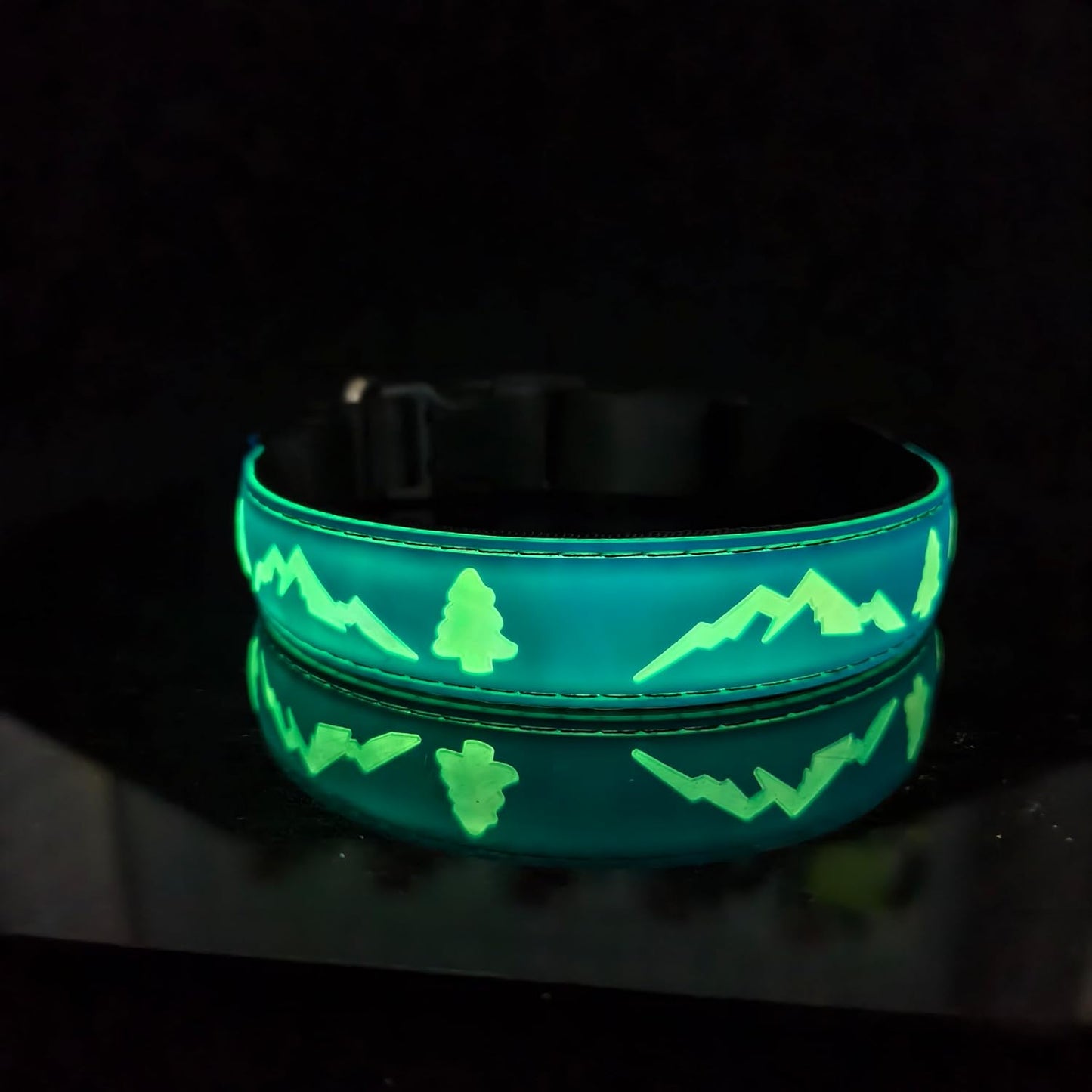 Blue LED Light-Up Dog Collar with USB-C, Adjustable and Rechargeable - Medium (15.7"-19.7")