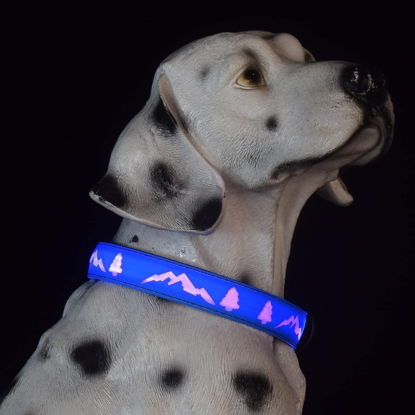 Blue LED Light-Up Dog Collar with USB-C, Adjustable and Rechargeable - Medium (15.7"-19.7")