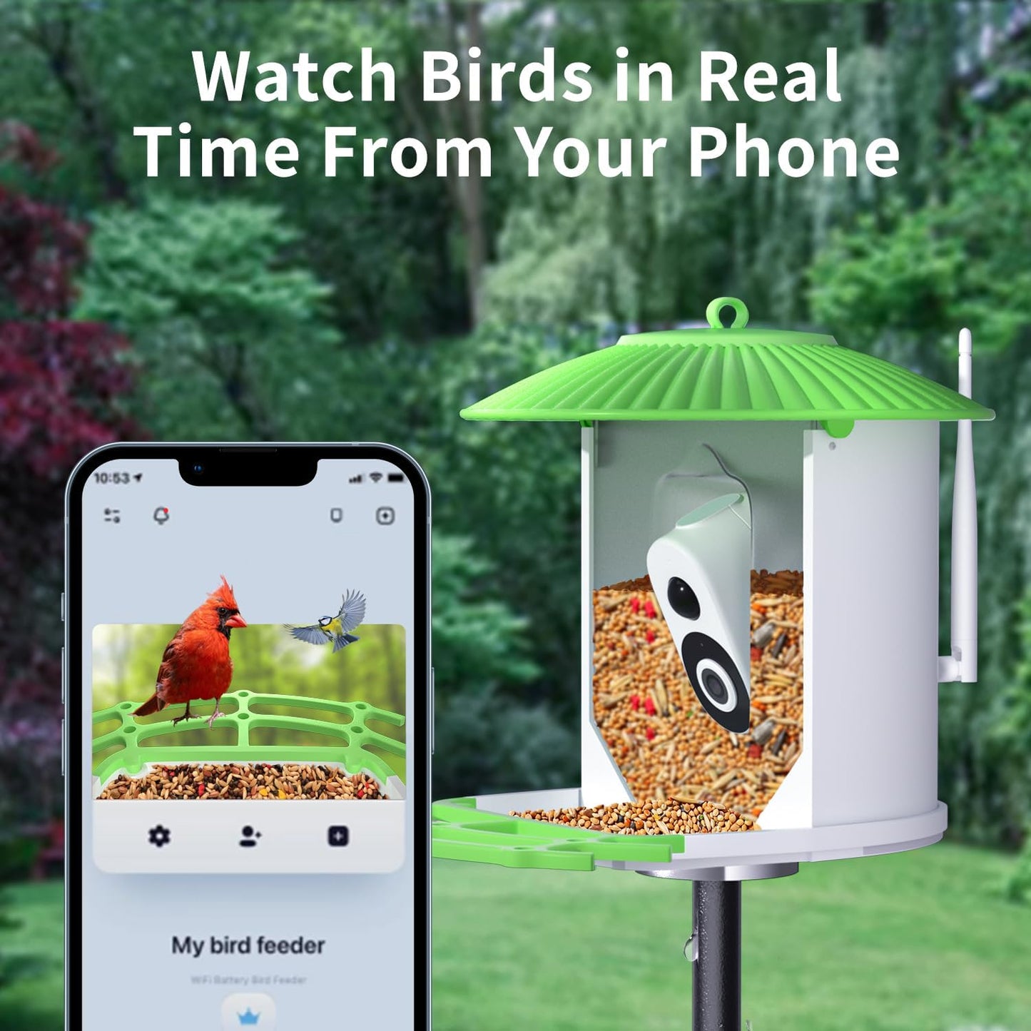 Explore Nature with Smart Bird Feeder: Solar Powered, HD Camera, AI Video Capture for Bird Lovers