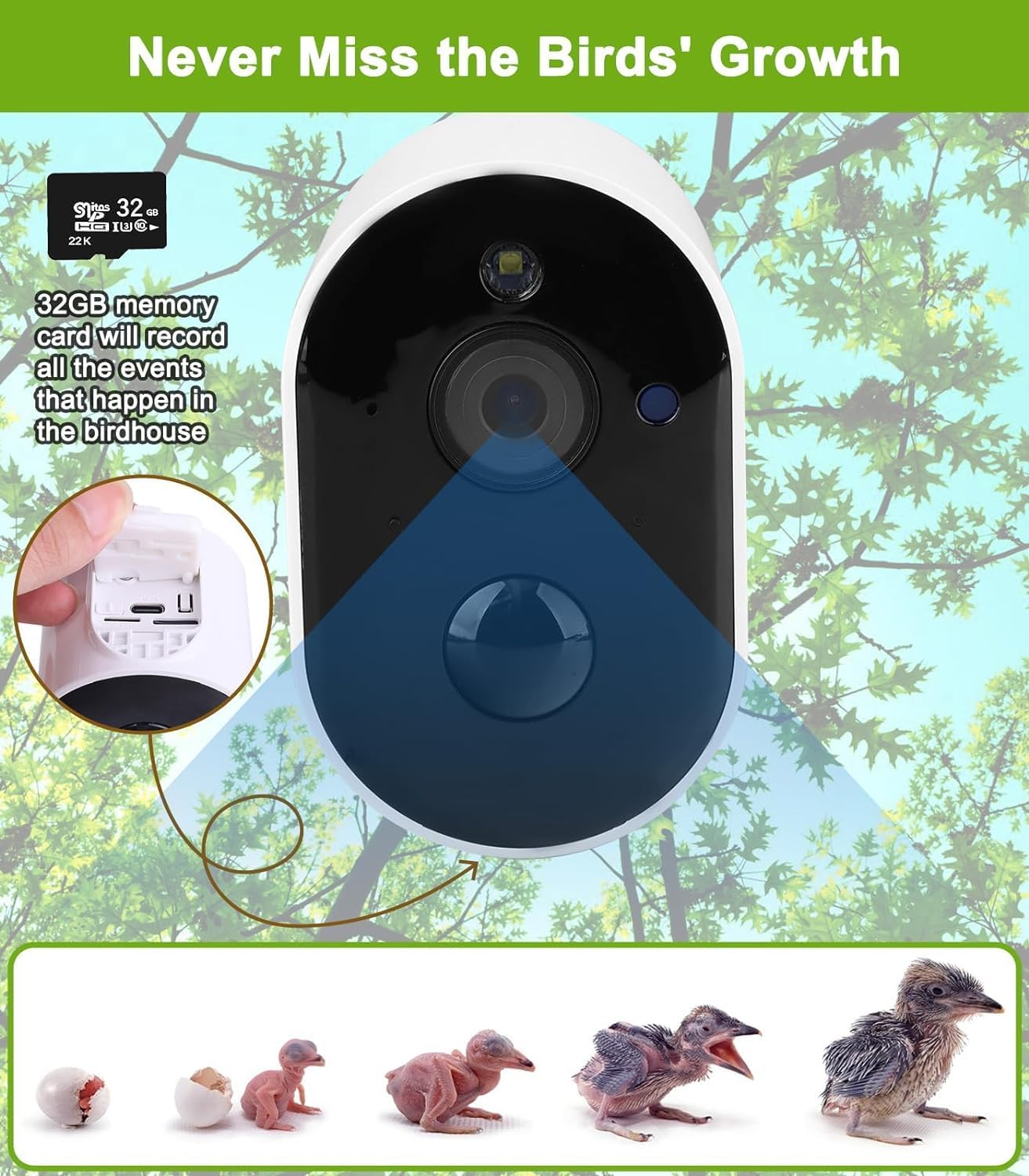 Smart Birdhouse Camera with 1080P Night Vision, Solar Powered & 160° View