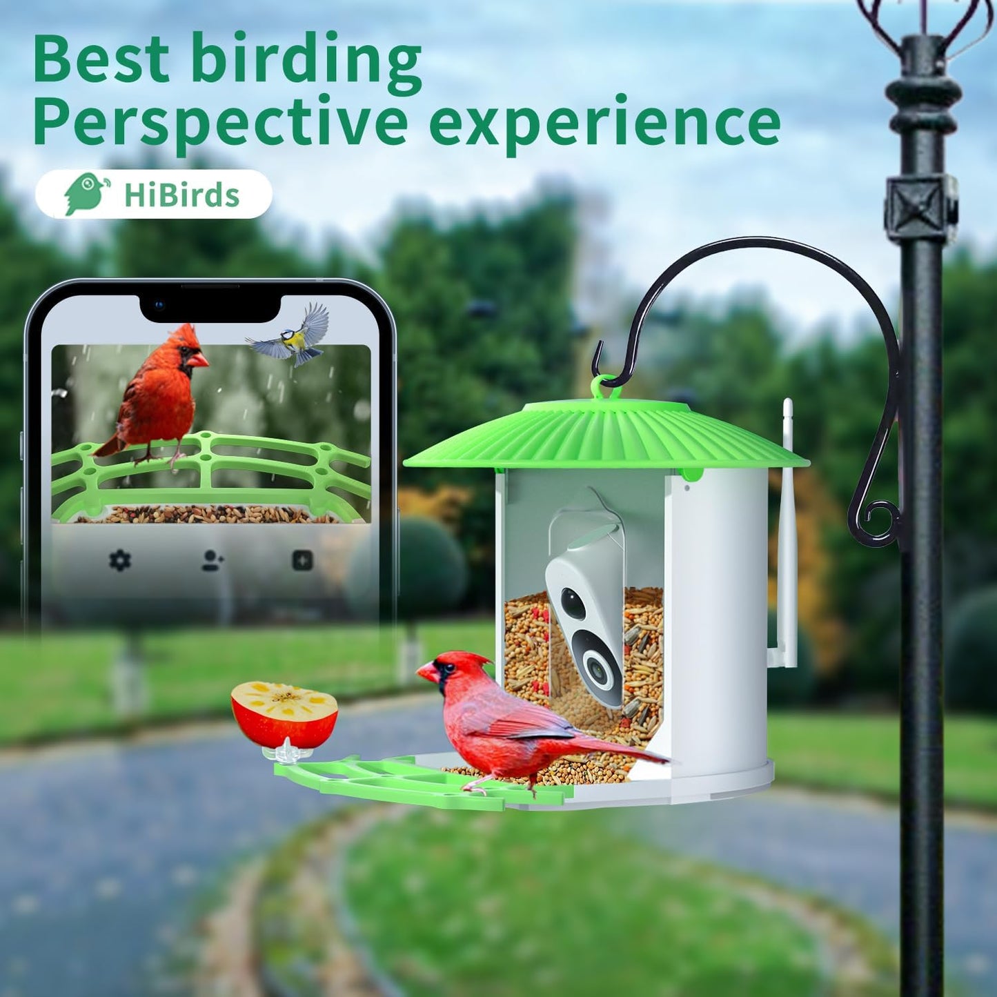 Explore Nature with Smart Bird Feeder: Solar Powered, HD Camera, AI Video Capture for Bird Lovers