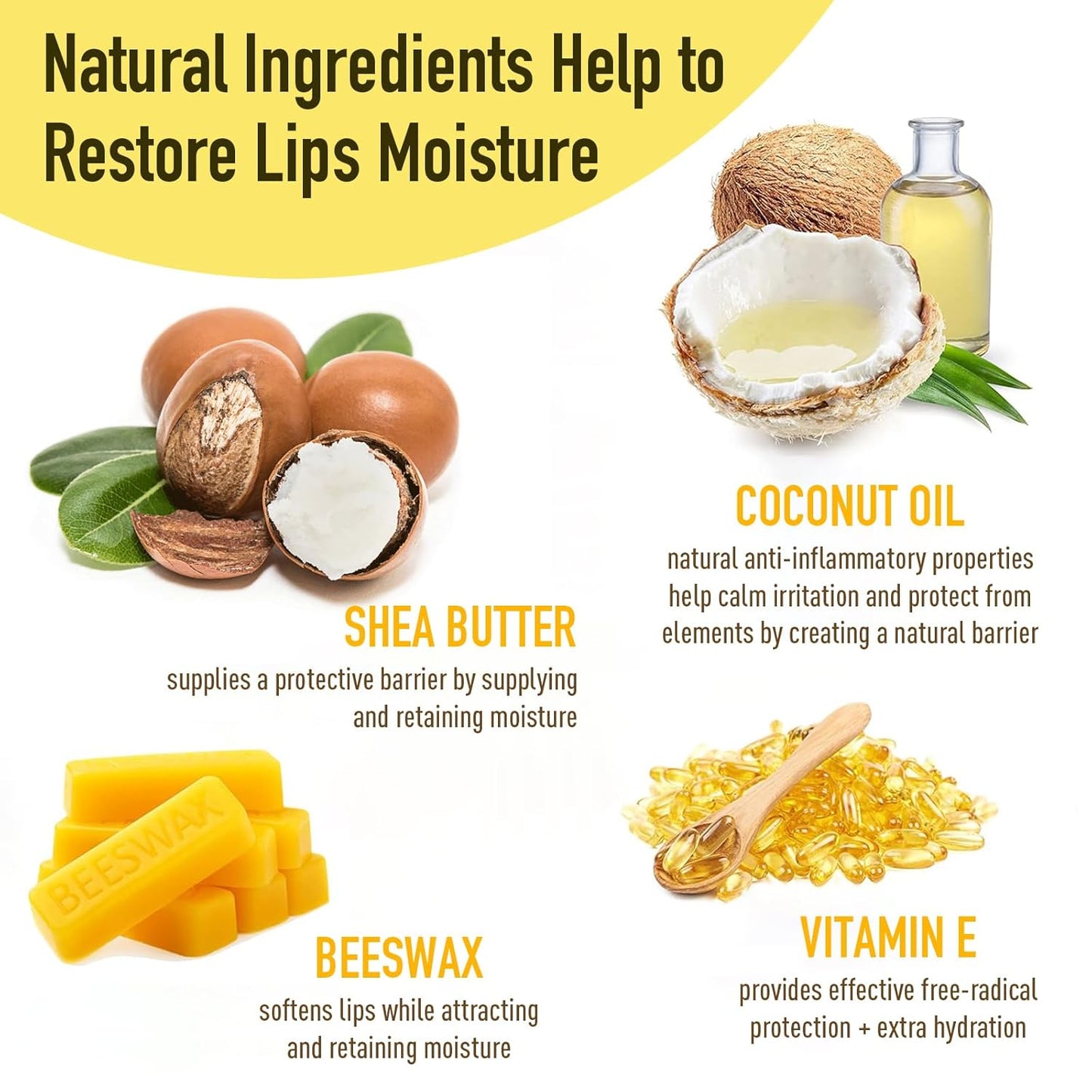 Lip Balm 8-Pack with Natural Ingredients, Vitamin E & Coconut Oil - Perfect for Dry Lips & Gift Giving