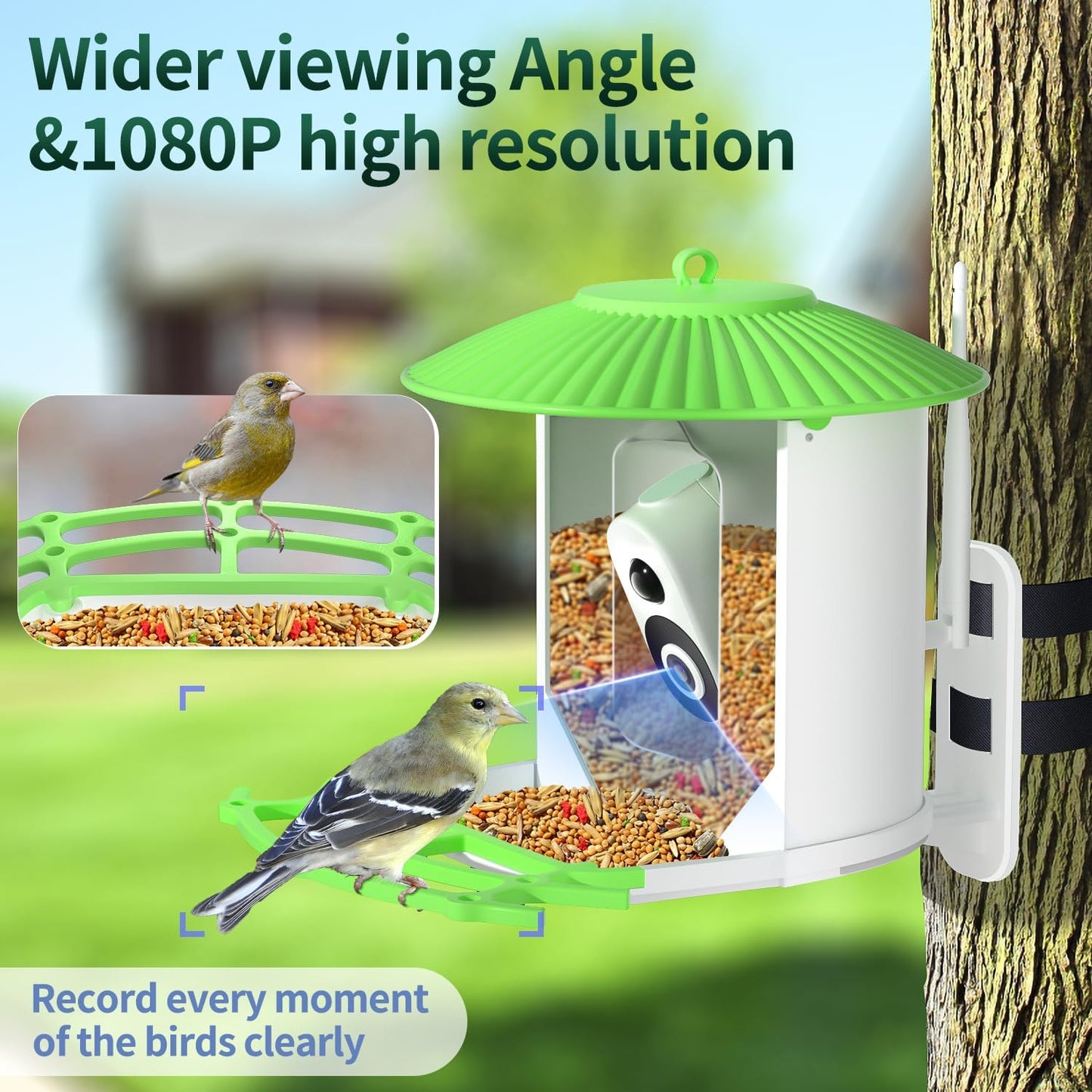 Explore Nature with Smart Bird Feeder: Solar Powered, HD Camera, AI Video Capture for Bird Lovers