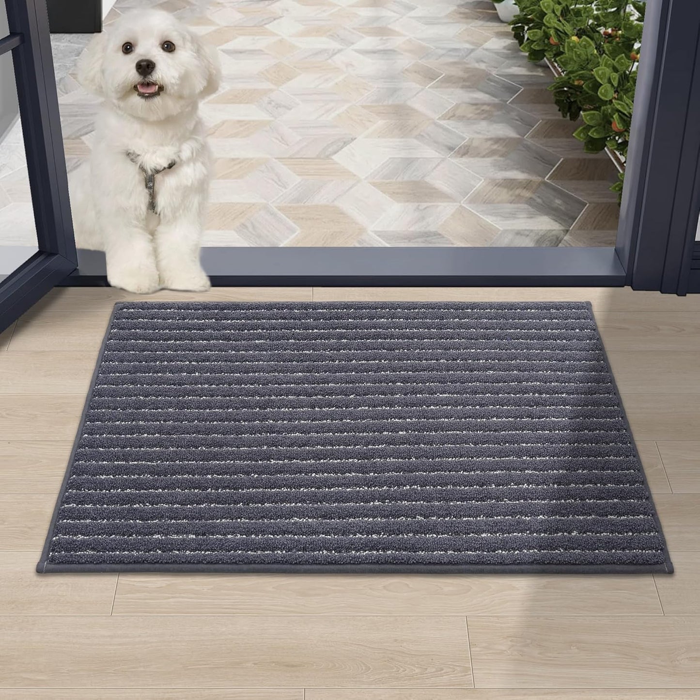 Dark Grey Indoor Door Mat 20"x32" - Absorbent, Anti-Slip Rug for Wet Shoes & Paws