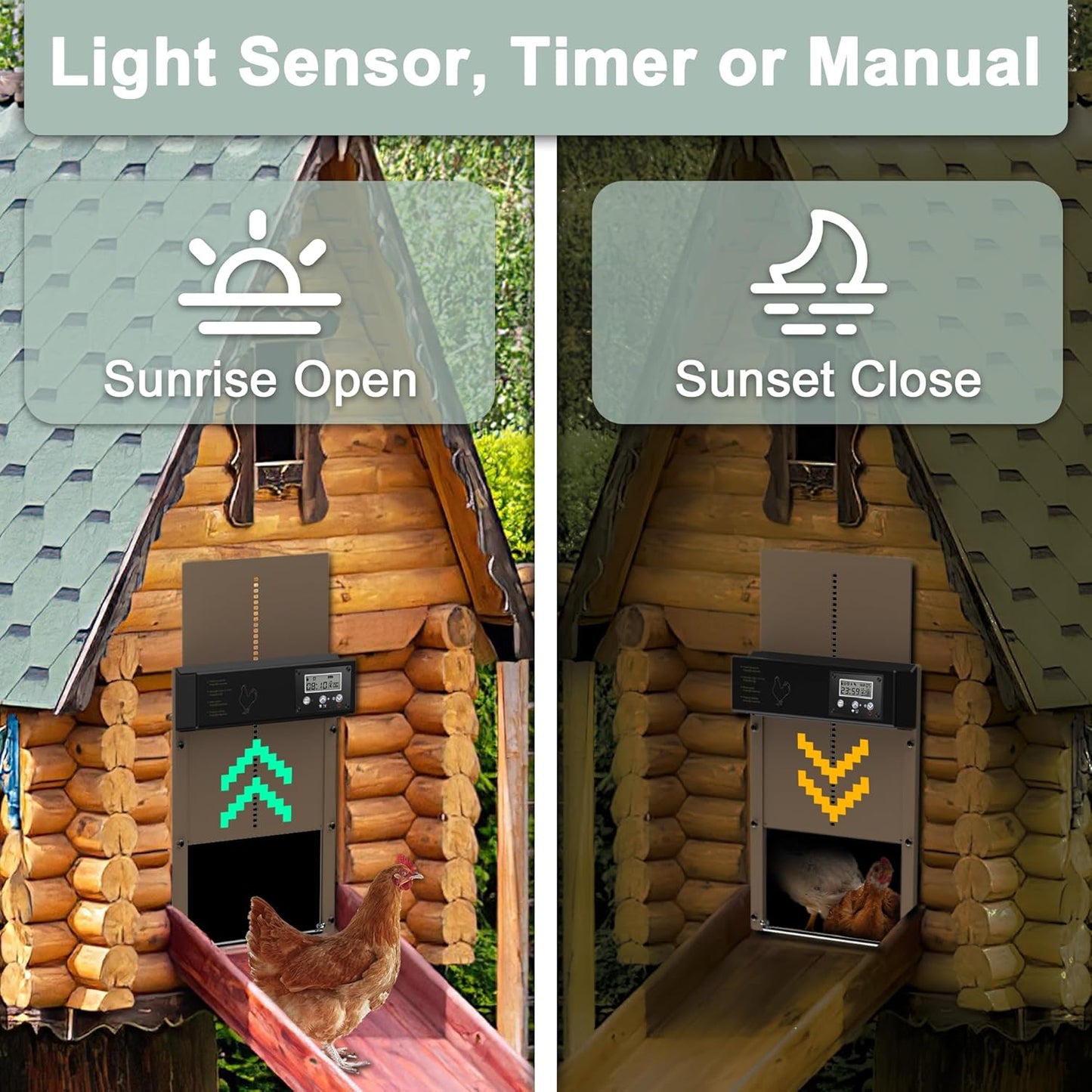 Automatic Chicken Coop Door with Timer, Light Sensor, and Remote Control – Maximum Security for Poultry