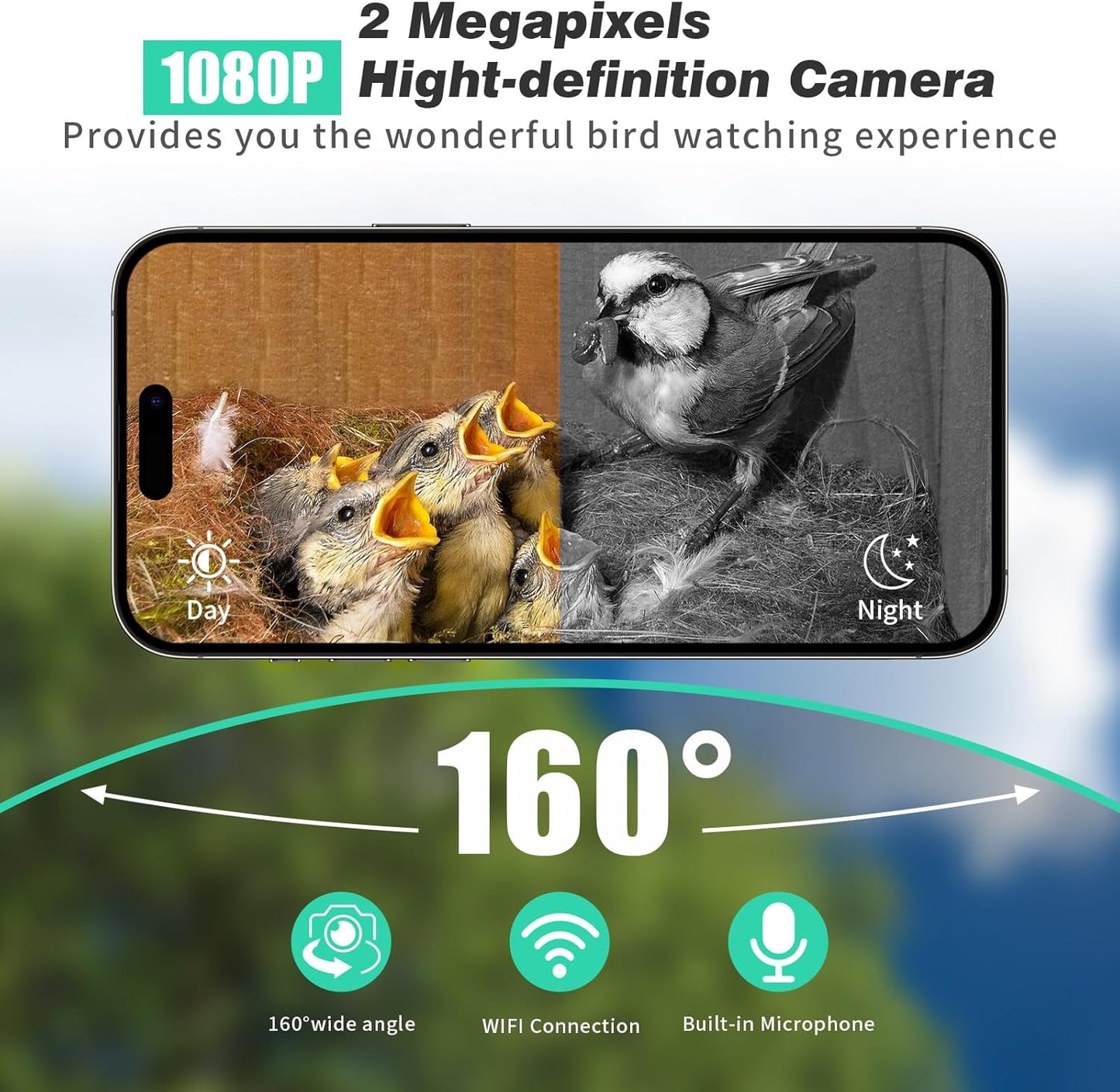 Smart Birdhouse Camera with 1080P Night Vision, Solar Powered & 160° View
