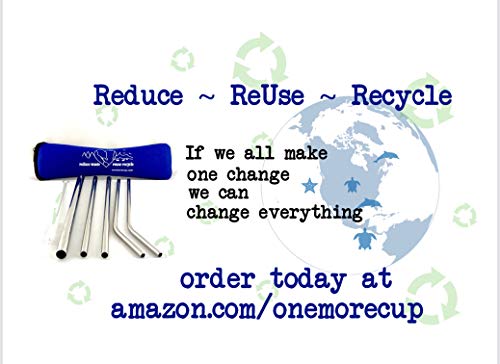 One More Cup - 2 Pack - Reusable Stainless Steel Drinking Straws - Cleaning Brush - Straw Case