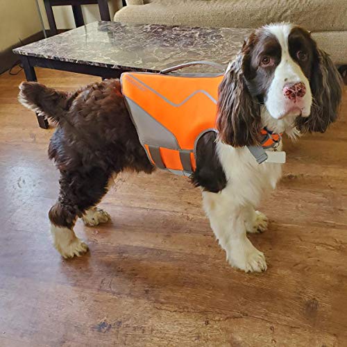 Vivaglory Life Jacket for Dogs, Comfortable Neoprene Dog Life Jacket with Superior Buoyancy & Rescue Handle for Small to Medium Dogs, Orange M