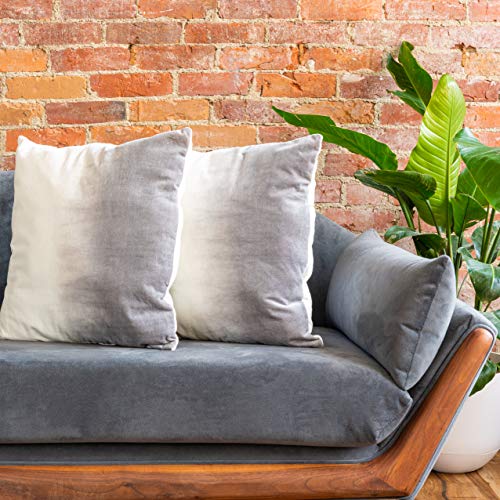 Refinery29 | Ombré Collection | Luxury Decorative Textured Throw Pillows, Ultra Soft with Stylish Modern Chic Design for Home Décor (Pillow, Grey)