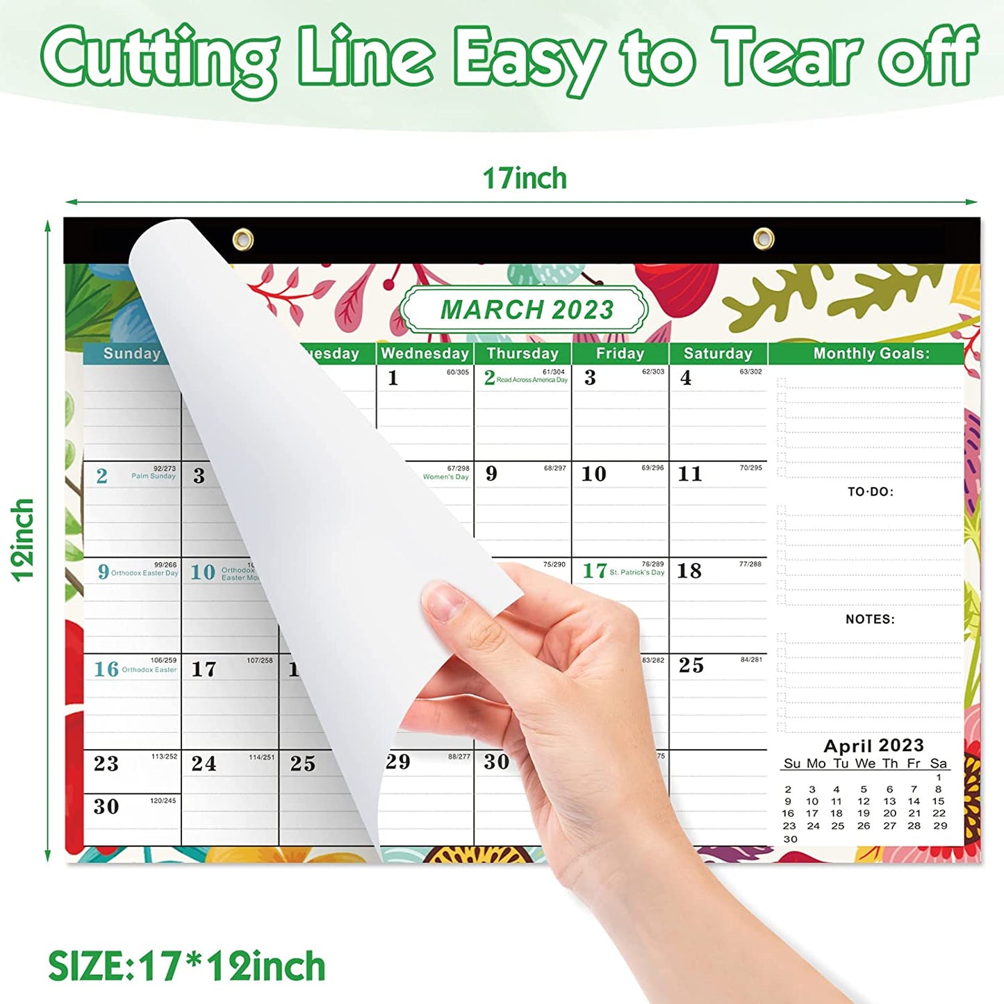 17"x12" Flower Jan 2023 - Jun 2024 Tear-Off Desk Calendar w/ 2 Corner Protectors