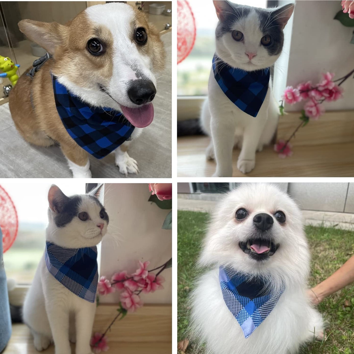 2pk Double Layer Dog/Cat/Pet Bandanas/Scarves for 6.7"-16" Neck