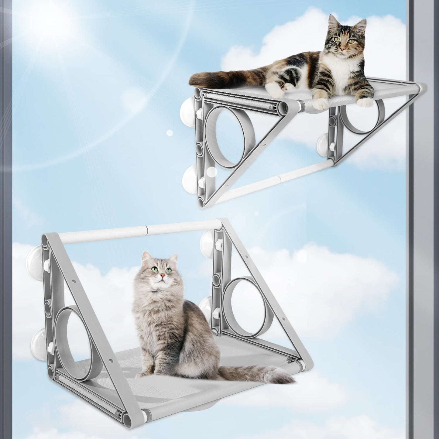 2-in-1 Cat Window Perch & Tunnel: Medium Hammock for Cats up to 40lbs