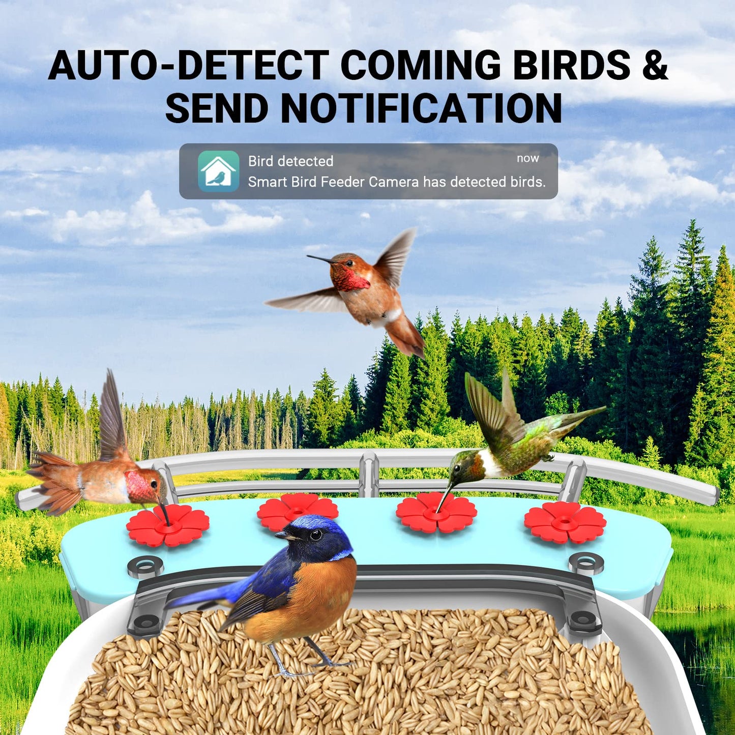 Wireless Outdoor Bird Feeder with Solar-Powered Camera: 1080 HD Live Video, AI Recognition, Dual Feeding Troughs, Ideal for Bird Watching Enthusiasts and Nature Lovers