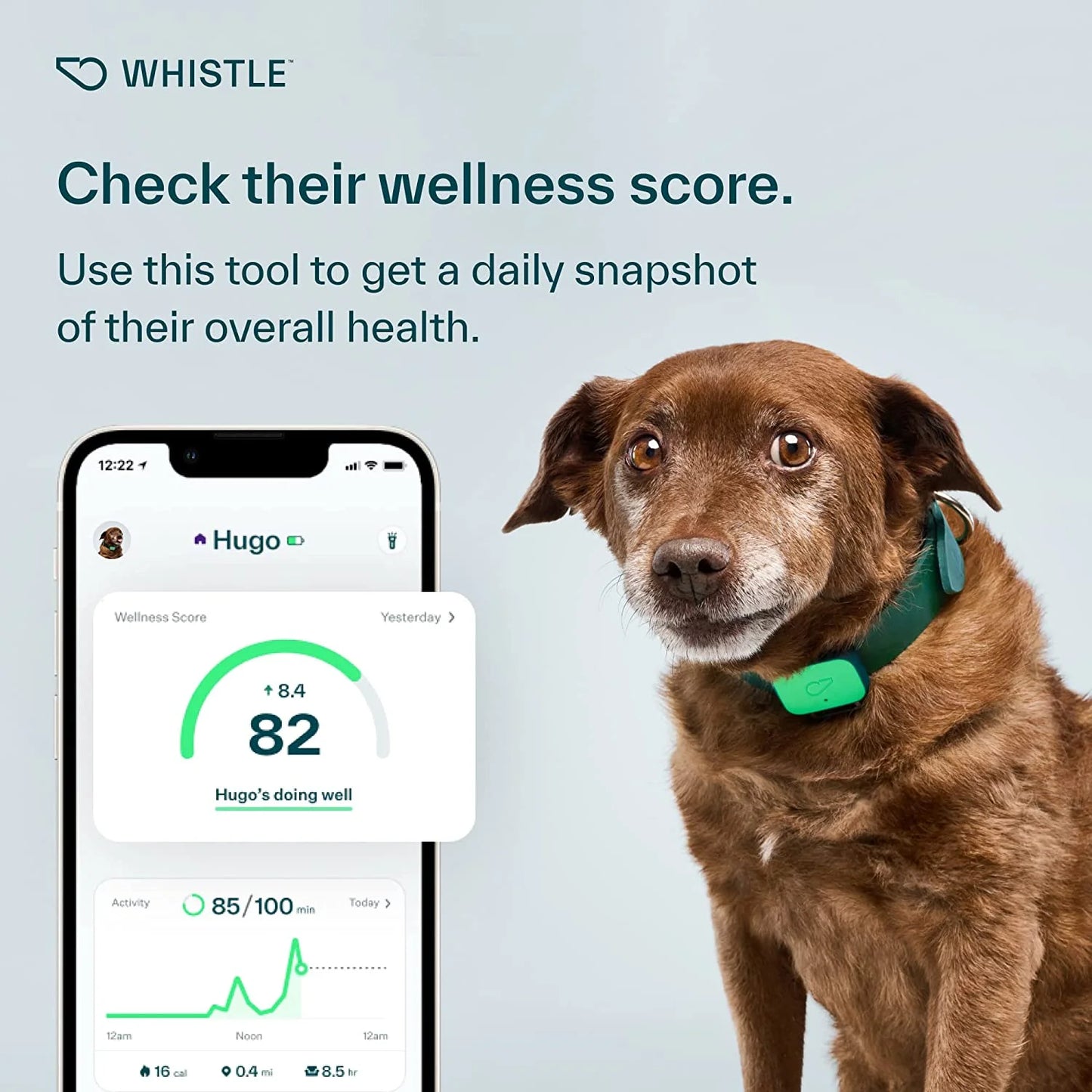 Whistle Health Smart Device: Track Your Dog's Health, Fitness & Wellness