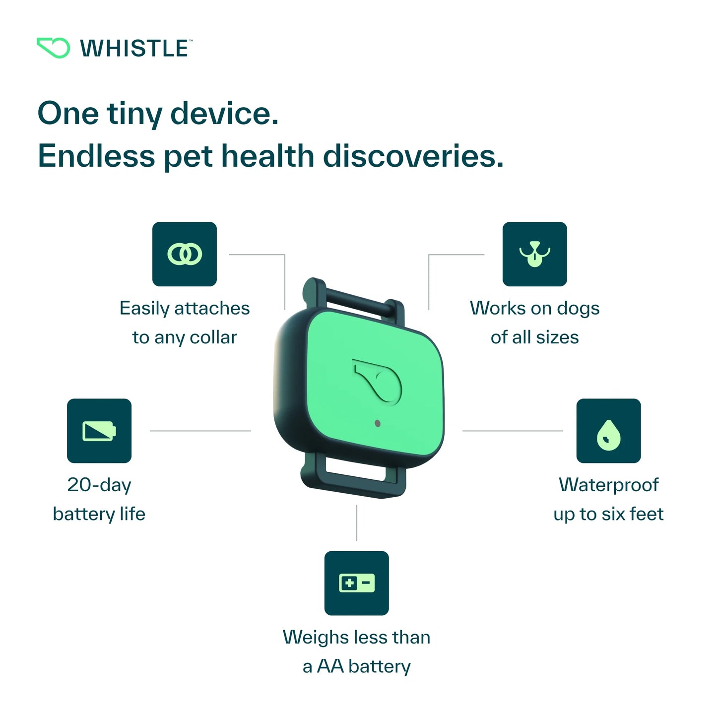 Whistle Health Smart Device: Track Your Dog's Health, Fitness & Wellness