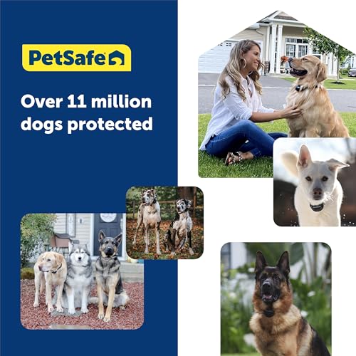 PetSafe Guardian GPS 2.0 Dog Fence + Real-Time Tracking System, Wireless Custom Boundaries, Waterproof Rechargeable Collar, Tone/Vibration/Static Levels, Subscription Required