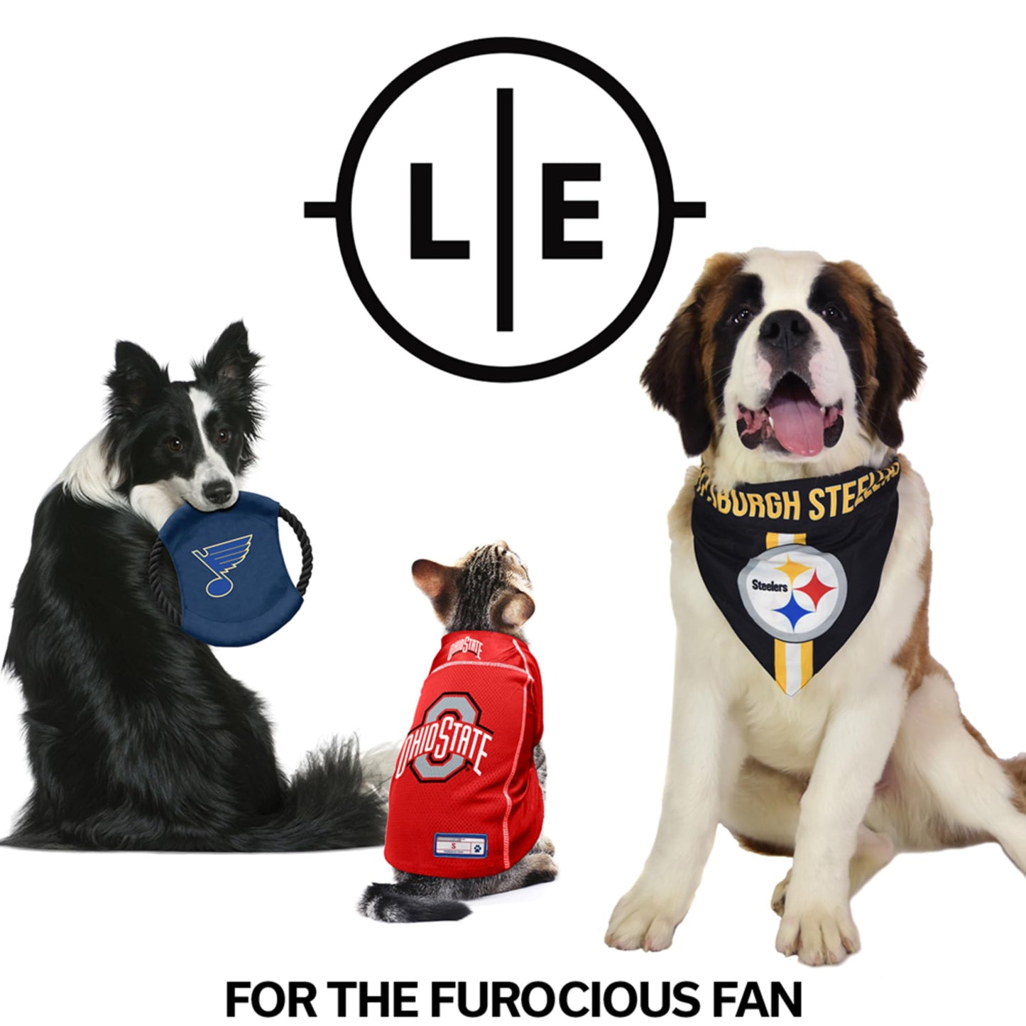 NCAA Michigan Wolverines MVP Pet Bowl, Large Stainless Steel Dog & Cat Bowl, Matte Black Powder Coat, Full-Color Logo Dome, Non-Slip Base