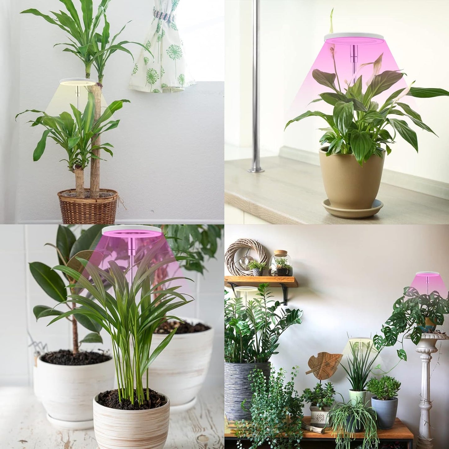 LED Grow Light for Indoor Plants: Full Spectrum, Adjustable Height & Dimmable Brightness