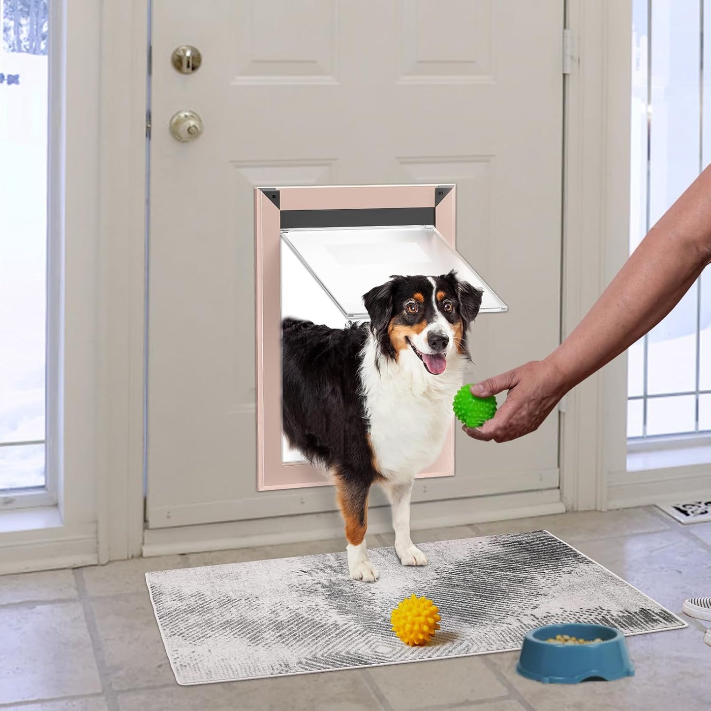 Size M Weatherproof Aluminum Dog Door with Energy-Efficient Double Lock and Easy Install Features