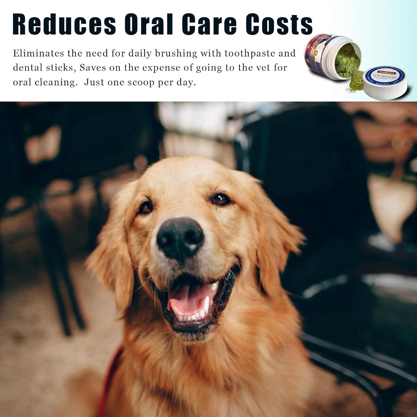 Herbal Dental Care Powder for Dogs & Cats, Breath Freshening, Plaque & Tartar Control, 45g
