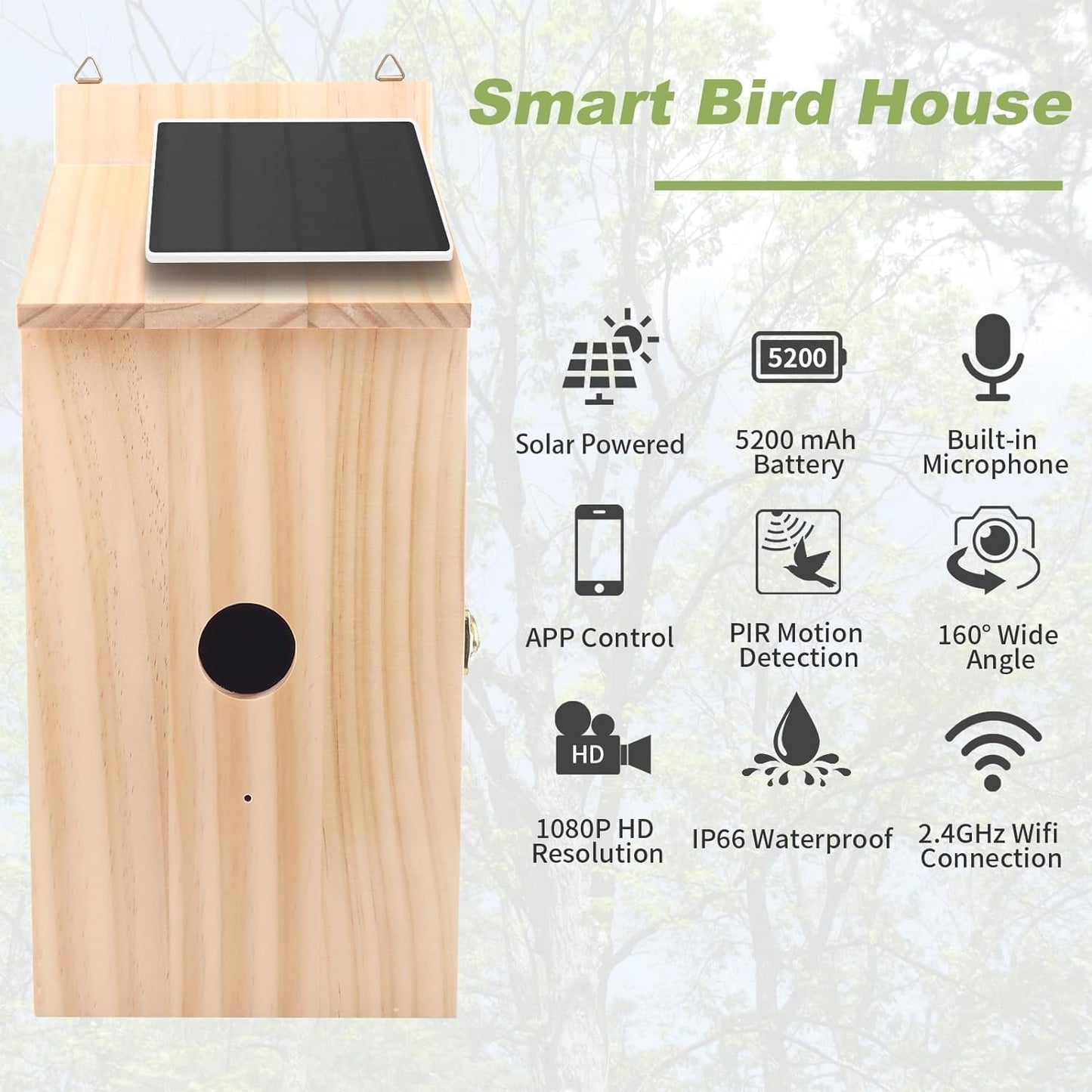 Smart Birdhouse Camera with 1080P Night Vision, Solar Powered & 160° View