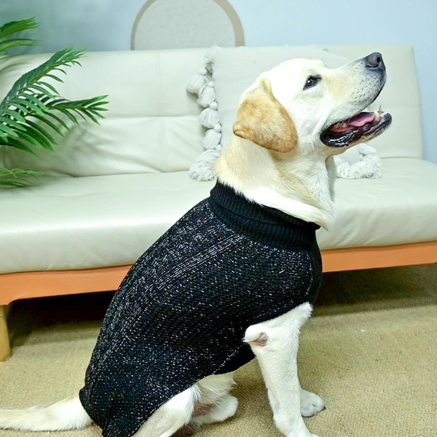 Reflective Black Cable Knit Dog Sweaters, XS Size - Ideal for Night Safety & Cold Weather Comfort