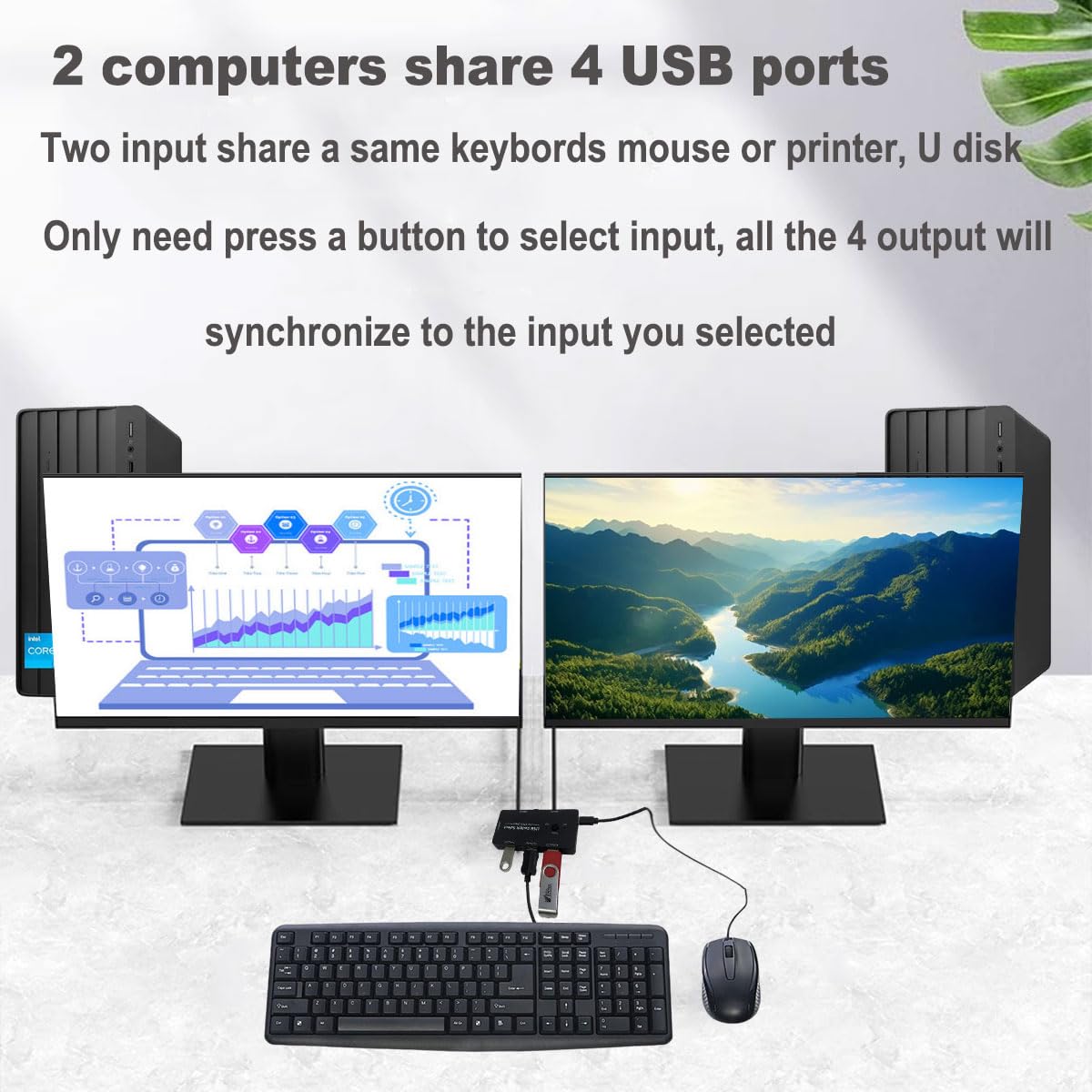 USB Switch 2 in 4 Out Selector for Sharing Devices between 2 Computers