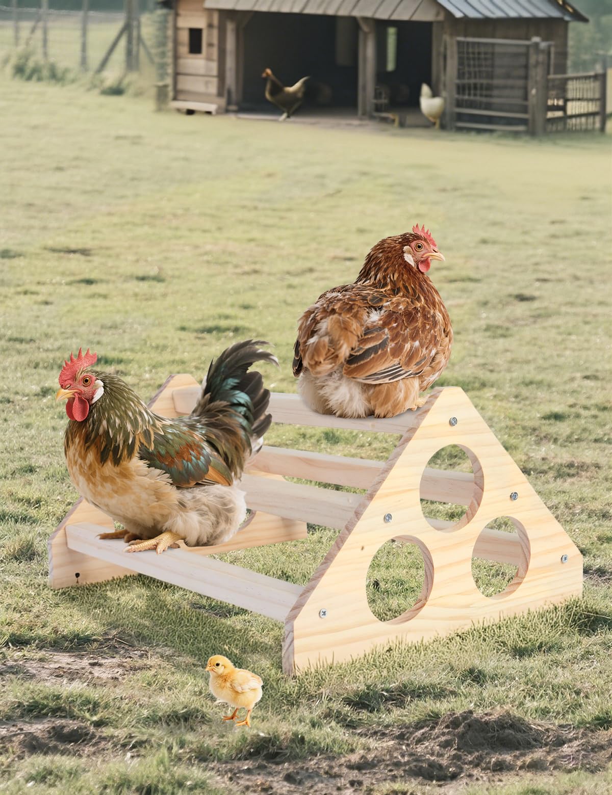 Big Wooden Chick Perch Stand Training Roosting Bar, 14.4 x 10.6 x 6.7 in (36.6 x 26.9 x 17 cm), Triangular Stable Chicken Jungle Gym