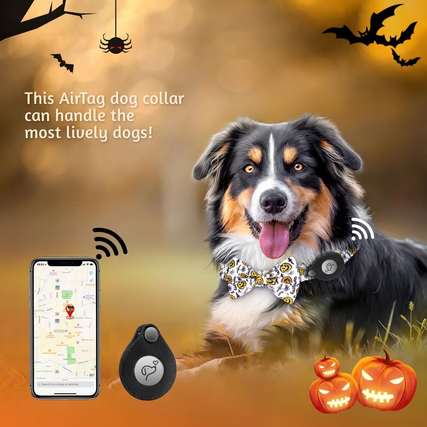 Size Small Dog Collar with AirTag Case: Adjustable, Stylish & Safe - Perfect for Tracking Pets