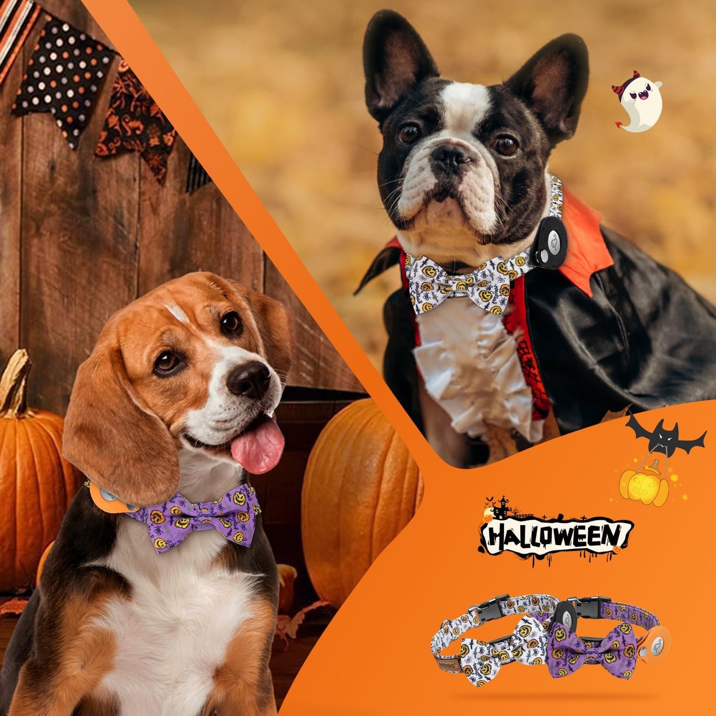 Size Small Dog Collar with AirTag Case: Adjustable, Stylish & Safe - Perfect for Tracking Pets