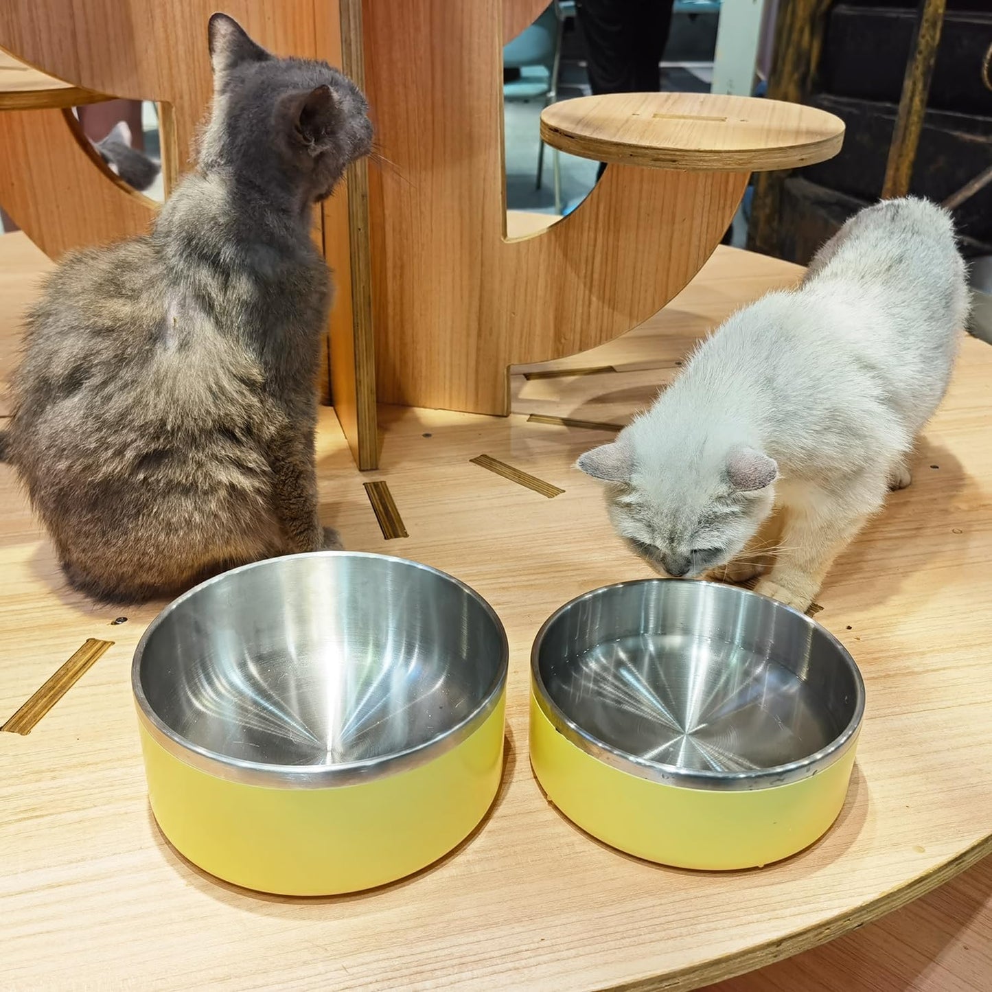 Light Yellow Stainless Steel 64oz Dog Bowls for Large Dogs Non-Slip & Rustproof
