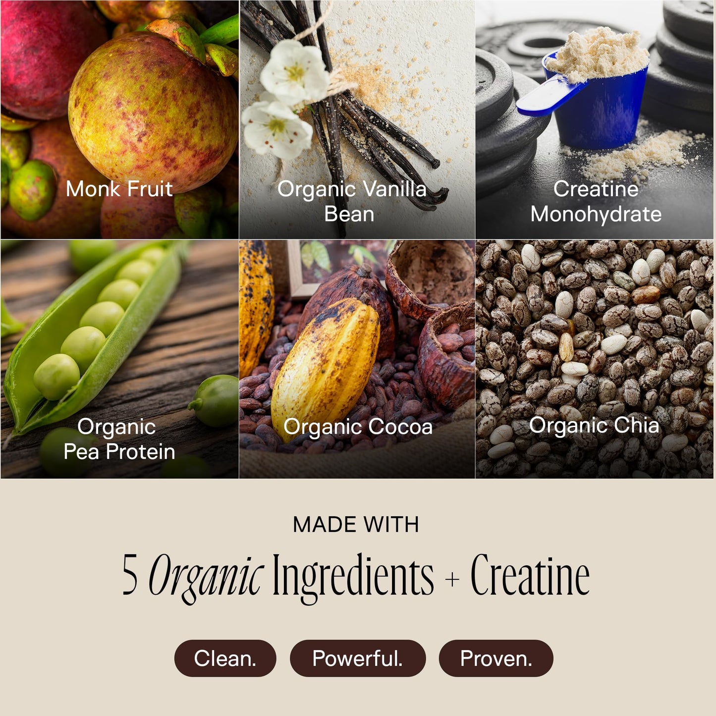 Organic Plant Protein Powder for Women - 20g Pea & Pumpkin Seed Protein with 5g Creatine
