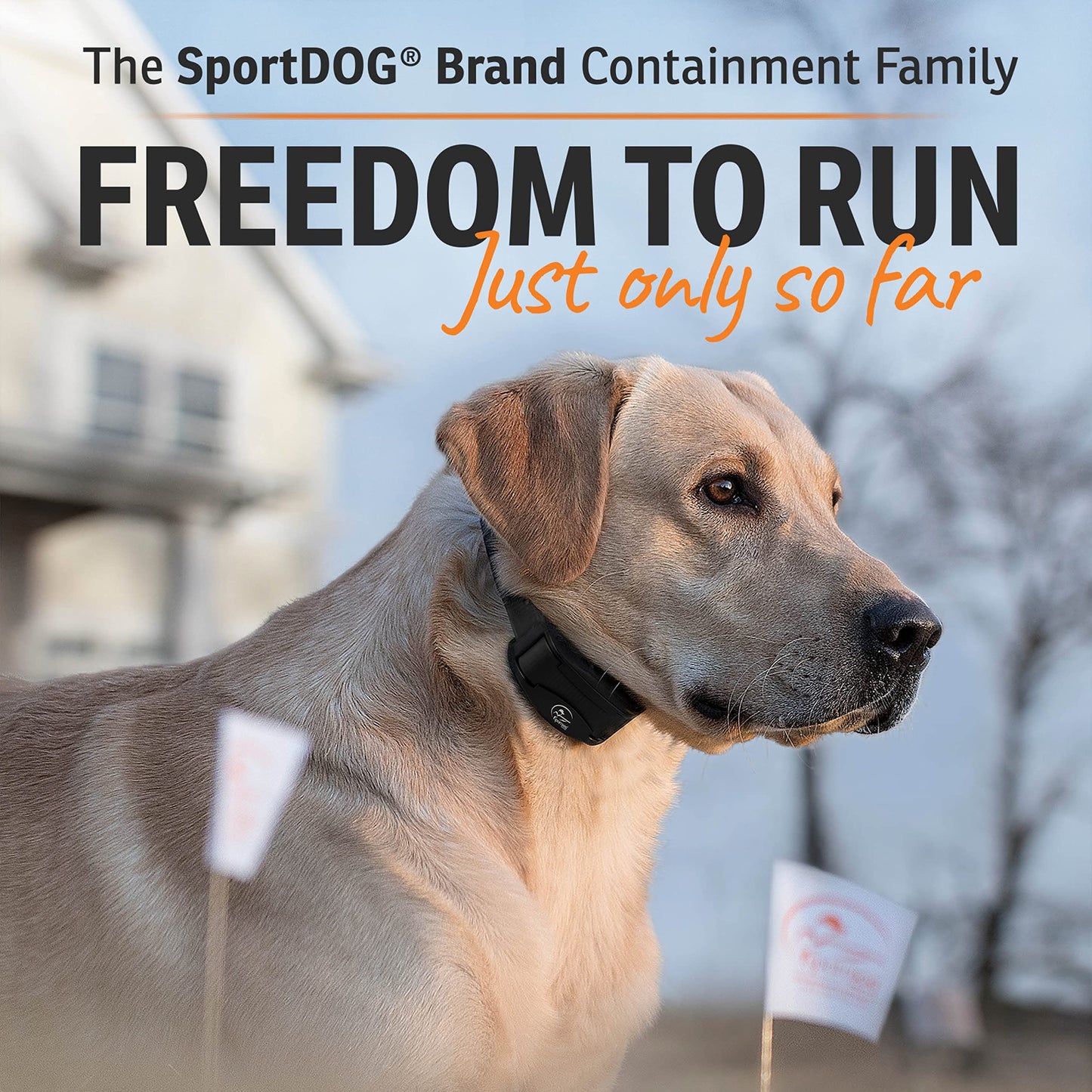 SportDOG Rechargeable In-Ground Fence System for 2 Dogs - Waterproof Pet Containment Kit with 1,000 ft Wire
