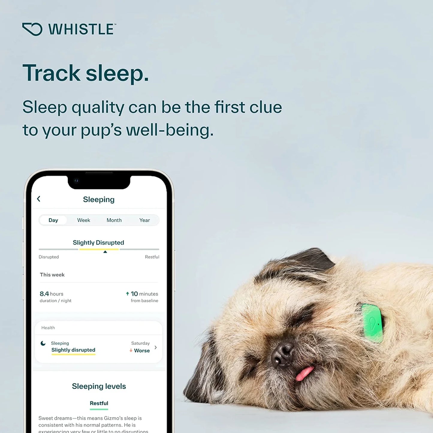 Whistle Health Smart Device: Track Your Dog's Health, Fitness & Wellness
