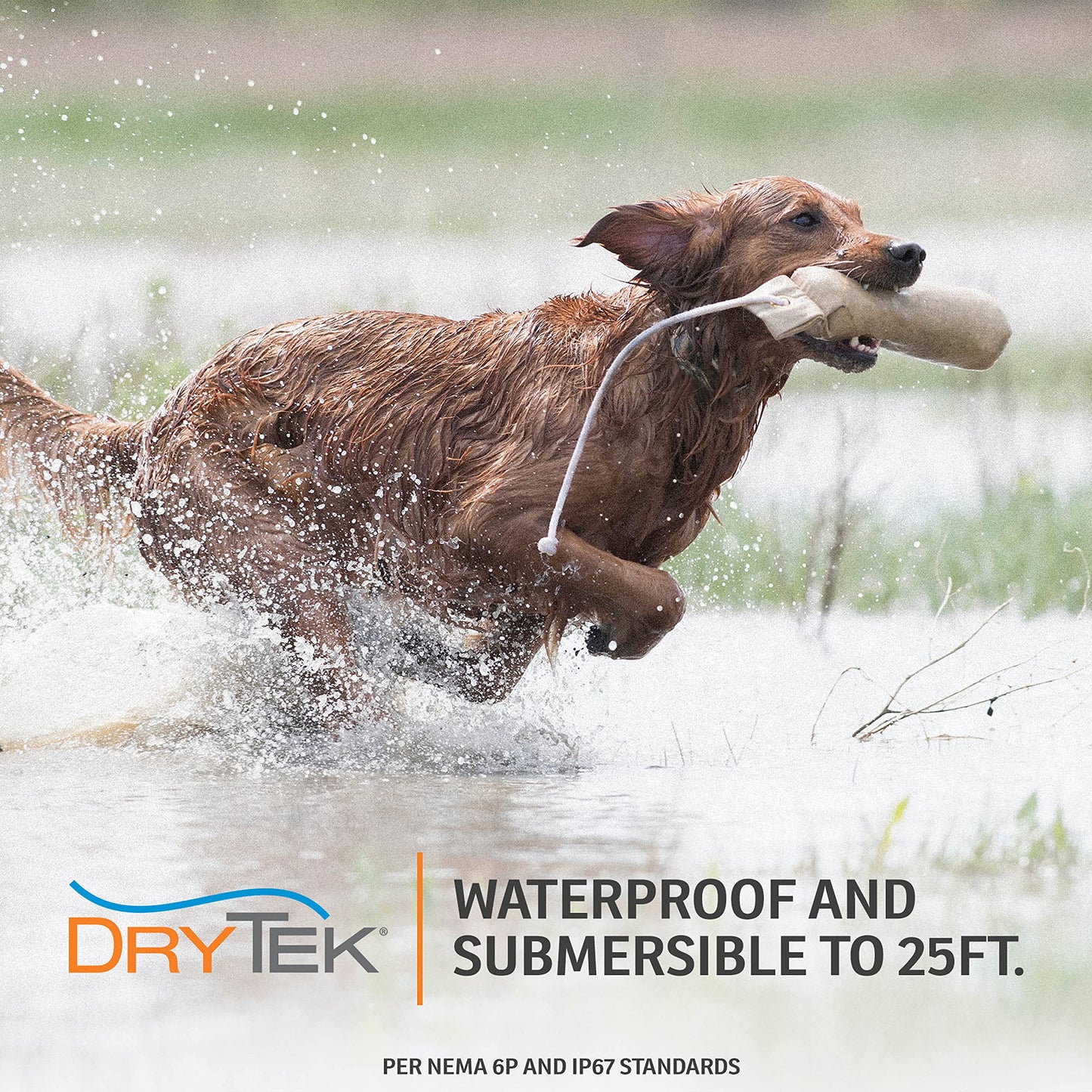 SportDOG Rechargeable In-Ground Fence System for 2 Dogs - Waterproof Pet Containment Kit with 1,000 ft Wire