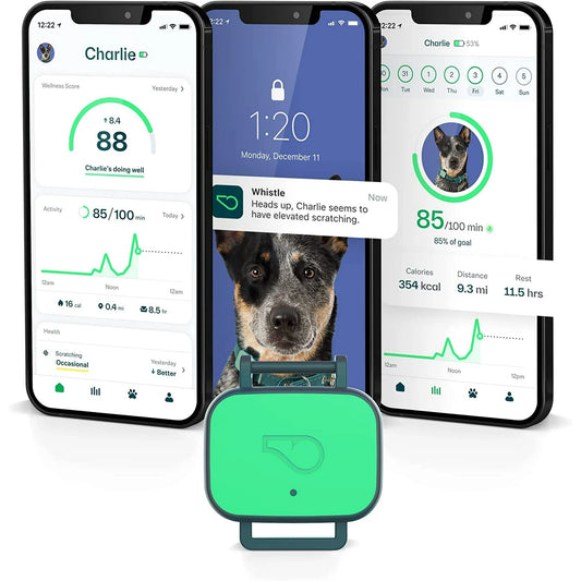 Whistle Health Smart Device: Track Your Dog's Health, Fitness & Wellness
