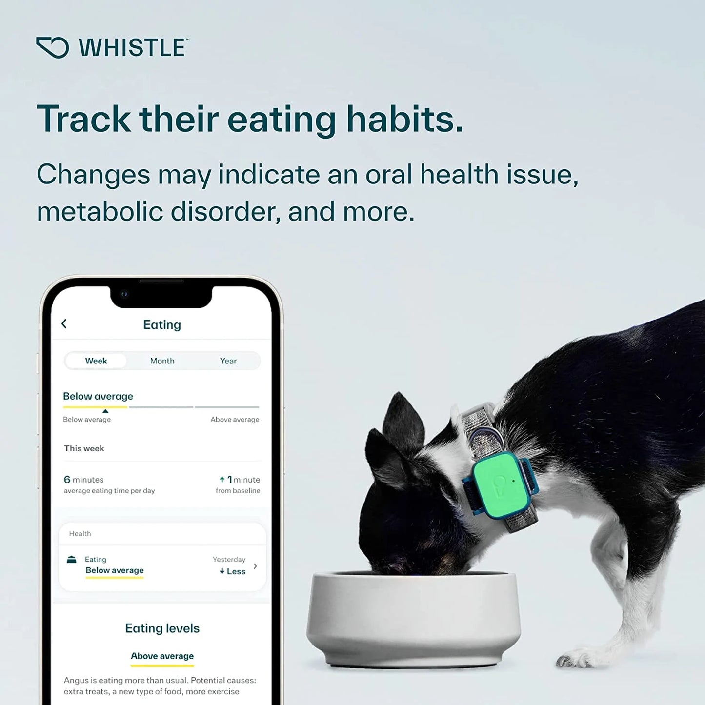 Whistle Health Smart Device: Track Your Dog's Health, Fitness & Wellness