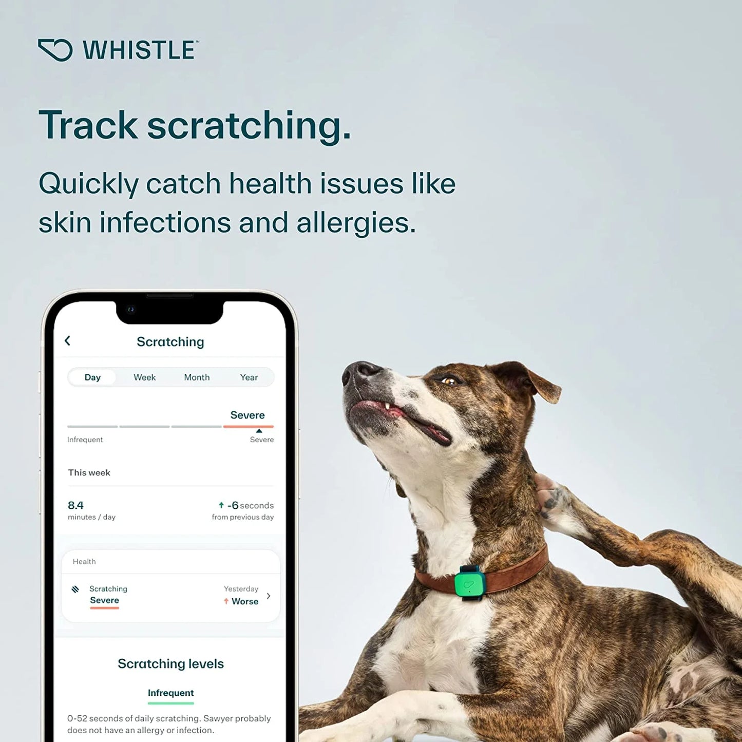 Whistle Health Smart Device: Track Your Dog's Health, Fitness & Wellness