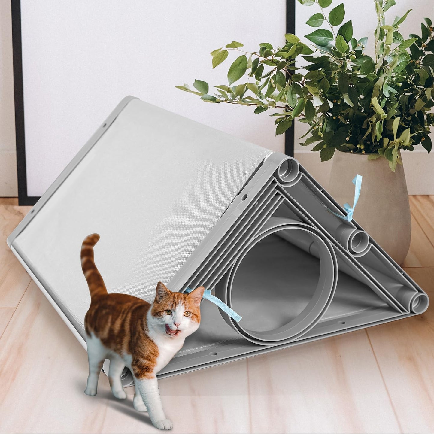 2-in-1 Cat Window Perch & Tunnel: Medium Hammock for Cats up to 40lbs