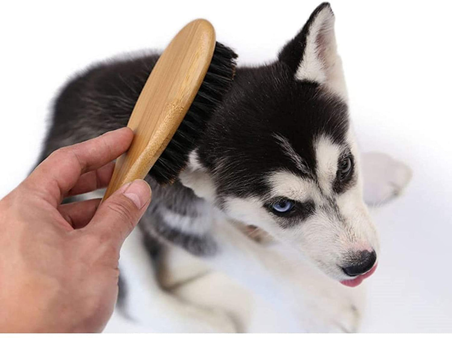 Japanese Design Natural Bamboo Boar Bristle Dog/Cat Brush for Shedding