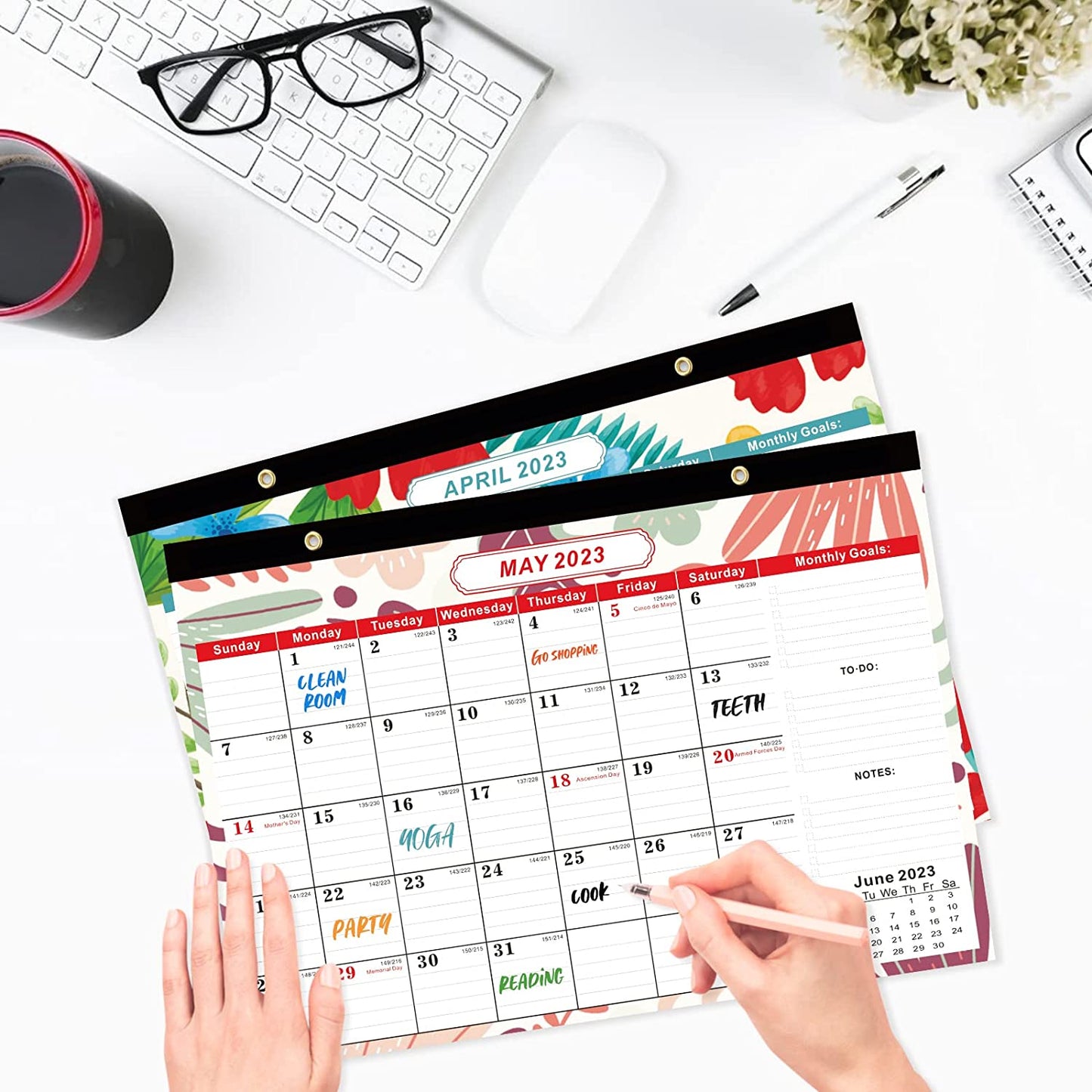 17"x12" Flower Jan 2023 - Jun 2024 Tear-Off Desk Calendar w/ 2 Corner Protectors